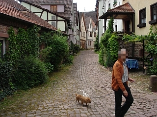 Muschelgasse