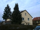 AmthorGreubel